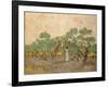 The Olive Pickers, Saint-Remy, 1889-Vincent van Gogh-Framed Giclee Print