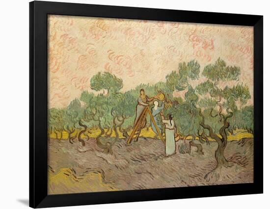 The Olive Pickers, Saint-Remy, 1889-Vincent van Gogh-Framed Giclee Print