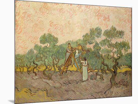 The Olive Pickers, Saint-Remy, 1889-Vincent van Gogh-Mounted Giclee Print