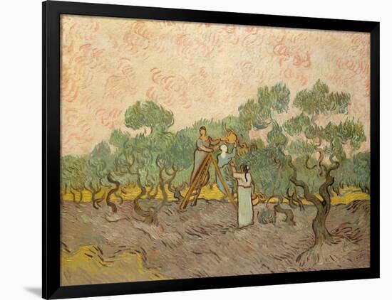 The Olive Pickers, Saint-Remy, 1889-Vincent van Gogh-Framed Giclee Print