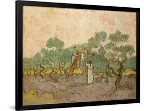 The Olive Pickers, Saint-Remy, 1889-Vincent van Gogh-Framed Giclee Print