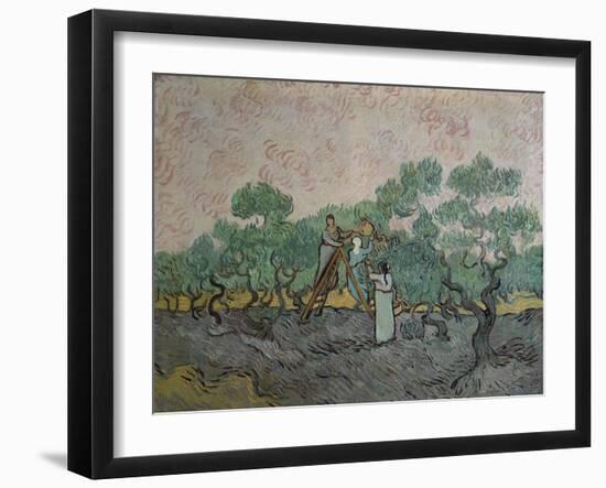 The Olive Pickers, Saint-Remy, c.1889-Vincent van Gogh-Framed Giclee Print