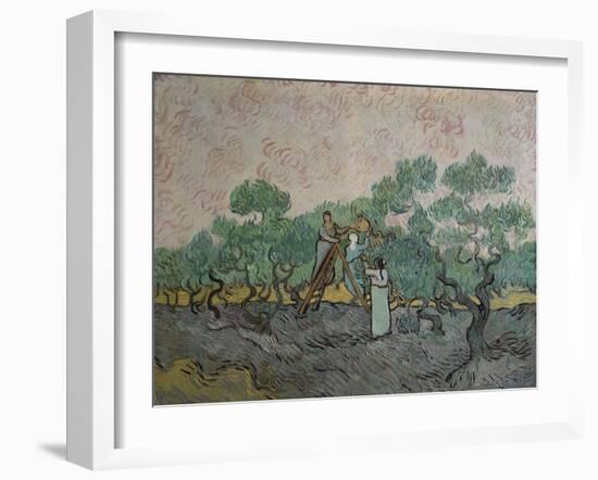 The Olive Pickers, Saint-Remy, c.1889-Vincent van Gogh-Framed Giclee Print