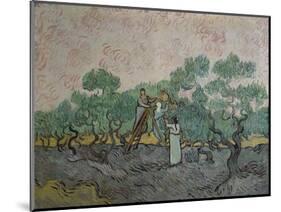 The Olive Pickers, Saint-Remy, c.1889-Vincent van Gogh-Mounted Giclee Print