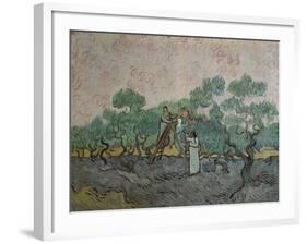 The Olive Pickers, Saint-Remy, c.1889-Vincent van Gogh-Framed Giclee Print