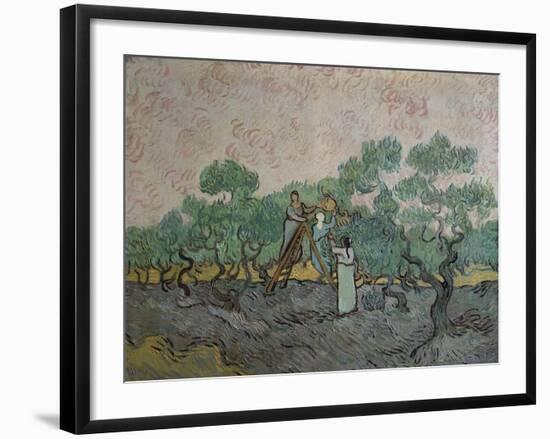 The Olive Pickers, Saint-Remy, c.1889-Vincent van Gogh-Framed Giclee Print