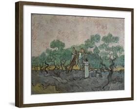 The Olive Pickers, Saint-Remy, c.1889-Vincent van Gogh-Framed Giclee Print