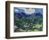 The Olive Trees, 1889 (Oil on Canvas)-Vincent van Gogh-Framed Giclee Print