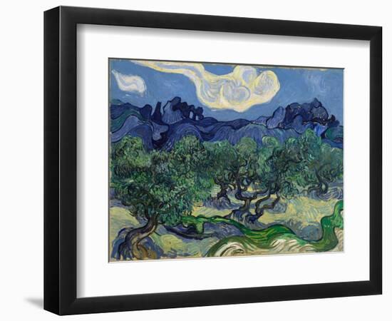 The Olive Trees, 1889 (Oil on Canvas)-Vincent van Gogh-Framed Giclee Print