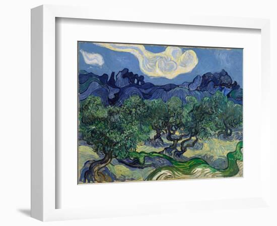 The Olive Trees, 1889 (Oil on Canvas)-Vincent van Gogh-Framed Giclee Print