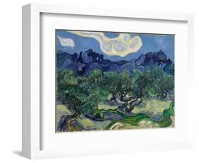 The Olive Trees, 1889 (Oil on Canvas)-Vincent van Gogh-Framed Giclee Print