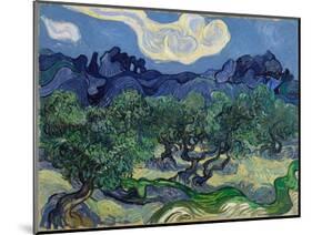 The Olive Trees, 1889 (Oil on Canvas)-Vincent van Gogh-Mounted Giclee Print