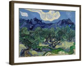 The Olive Trees, 1889 (Oil on Canvas)-Vincent van Gogh-Framed Giclee Print
