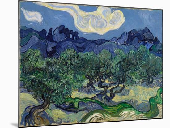 The Olive Trees, 1889 (Oil on Canvas)-Vincent van Gogh-Mounted Giclee Print