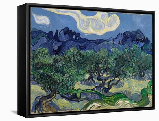 The Olive Trees, 1889 (Oil on Canvas)-Vincent van Gogh-Framed Stretched Canvas