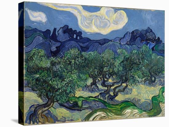 The Olive Trees, 1889 (Oil on Canvas)-Vincent van Gogh-Stretched Canvas