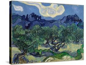 The Olive Trees, 1889 (Oil on Canvas)-Vincent van Gogh-Stretched Canvas