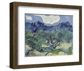 The Olive Trees, 1889-Vincent van Gogh-Framed Art Print