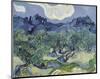 The Olive Trees, 1889-Vincent van Gogh-Mounted Art Print