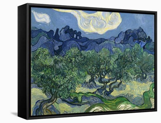 The Olive Trees, 1889-Vincent van Gogh-Framed Stretched Canvas