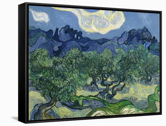 The Olive Trees, 1889-Vincent van Gogh-Framed Stretched Canvas