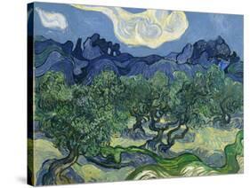 The Olive Trees, 1889-Vincent van Gogh-Stretched Canvas