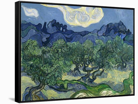 The Olive Trees, 1889-Vincent van Gogh-Framed Stretched Canvas