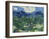 The Olive Trees, 1889-Vincent van Gogh-Framed Premium Giclee Print