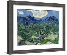 The Olive Trees, 1889-Vincent van Gogh-Framed Giclee Print