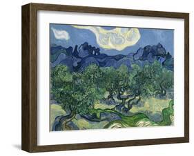 The Olive Trees, 1889-Vincent van Gogh-Framed Giclee Print