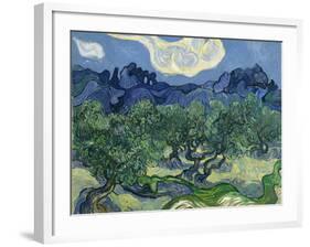 The Olive Trees, 1889-Vincent van Gogh-Framed Giclee Print