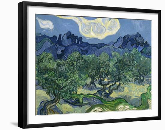 The Olive Trees, 1889-Vincent van Gogh-Framed Giclee Print