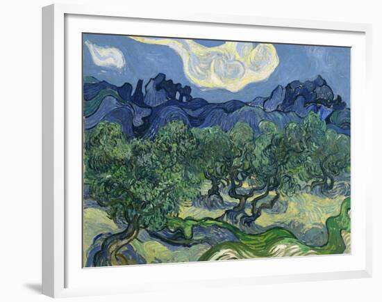 The Olive Trees, 1889-Vincent van Gogh-Framed Giclee Print