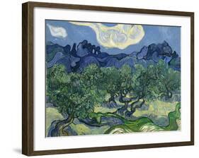 The Olive Trees, 1889-Vincent van Gogh-Framed Giclee Print