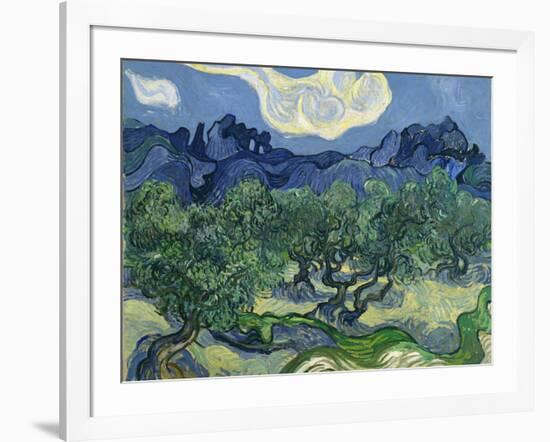 The Olive Trees, 1889-Vincent van Gogh-Framed Giclee Print