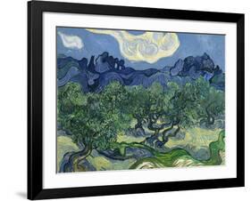 The Olive Trees, 1889-Vincent van Gogh-Framed Giclee Print