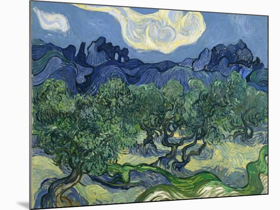 The Olive Trees, 1889-Vincent van Gogh-Mounted Giclee Print