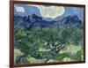 The Olive Trees, 1889-Vincent van Gogh-Framed Giclee Print