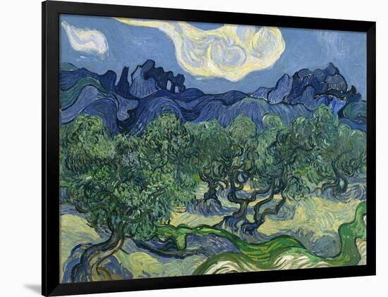 The Olive Trees, 1889-Vincent van Gogh-Framed Giclee Print