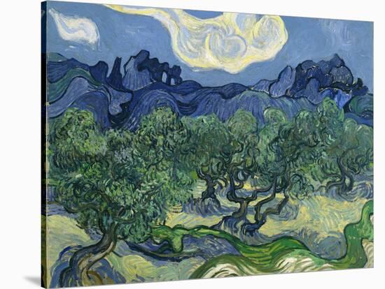 The Olive Trees, 1889-Vincent van Gogh-Stretched Canvas