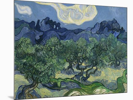 The Olive Trees. 1889-Vincent van Gogh-Mounted Giclee Print