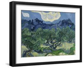 The Olive Trees. 1889-Vincent van Gogh-Framed Giclee Print