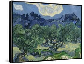 The Olive Trees. 1889-Vincent van Gogh-Framed Stretched Canvas