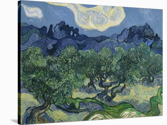 The Olive Trees. 1889-Vincent van Gogh-Stretched Canvas