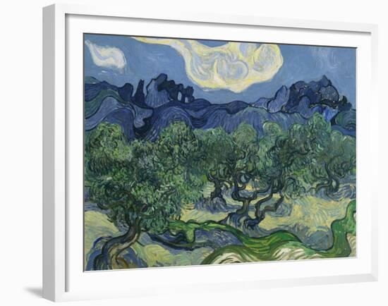 The Olive Trees. 1889-Vincent van Gogh-Framed Giclee Print