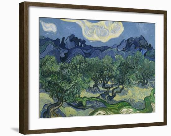 The Olive Trees. 1889-Vincent van Gogh-Framed Giclee Print