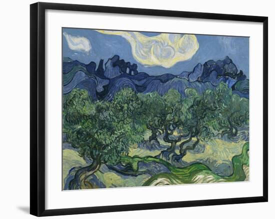 The Olive Trees. 1889-Vincent van Gogh-Framed Giclee Print