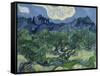 The Olive Trees. 1889-Vincent van Gogh-Framed Stretched Canvas
