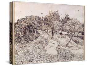The Olive Trees-Vincent van Gogh-Stretched Canvas