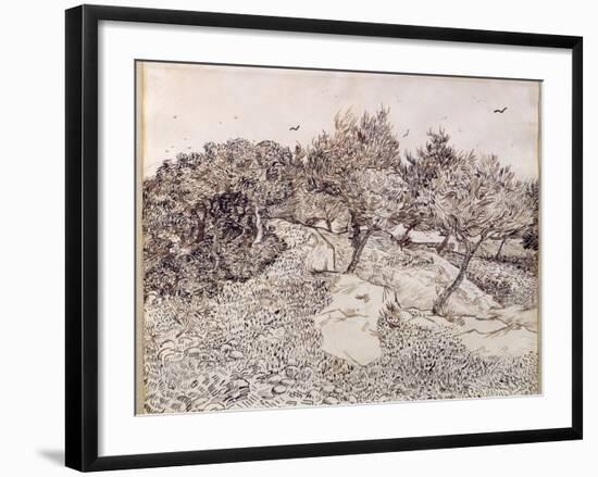 The Olive Trees-Vincent van Gogh-Framed Giclee Print